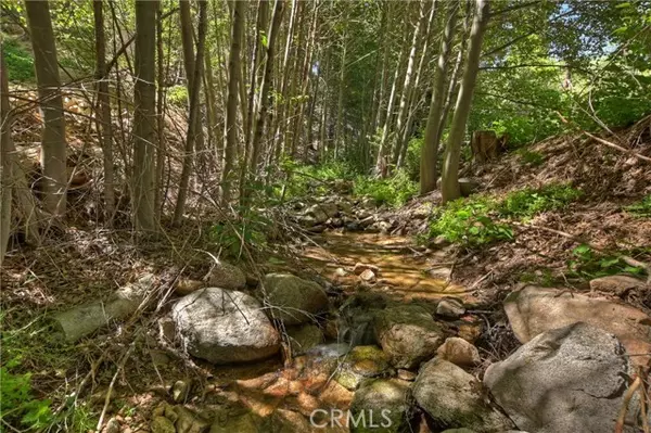 29649 Hook Creek Road, Cedar Glen, CA 92321