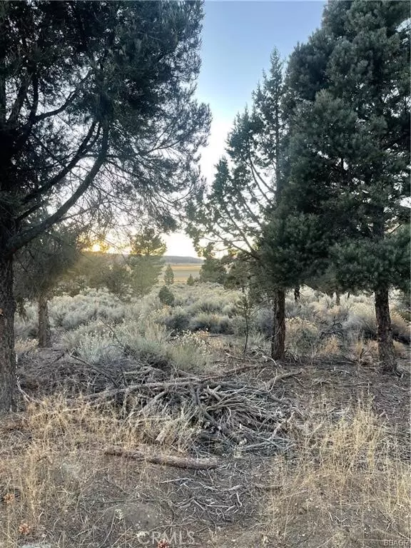 Big Bear City, CA 92314,0 Baldwin