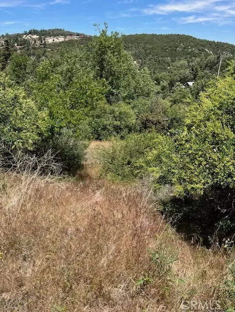 Cedar Glen, CA 92321,478 Oakdale Drive