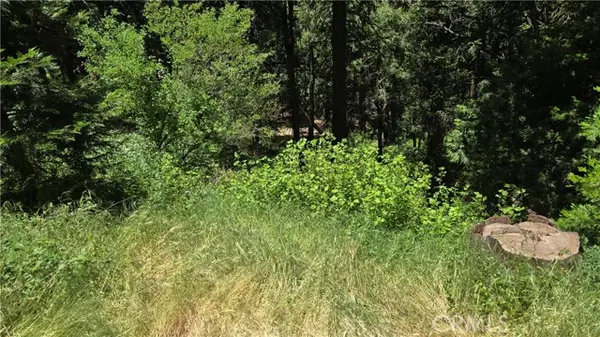 Cedarpines Park, CA 92322,0 Cedar Pines Drive