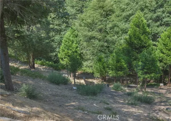 Cedar Glen, CA 92321,169 Alder Lane