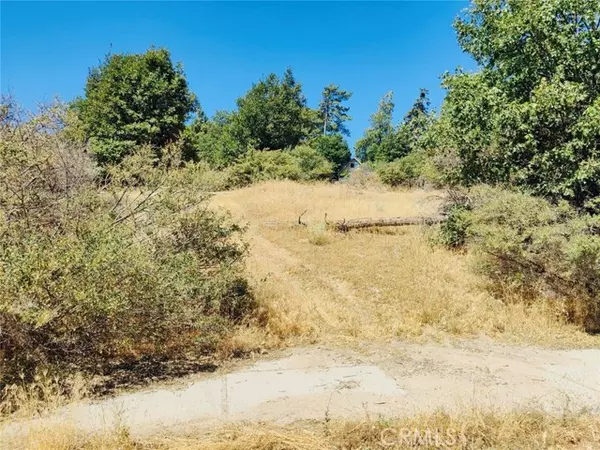 Cedar Glen, CA 92321,289 Lilac Way