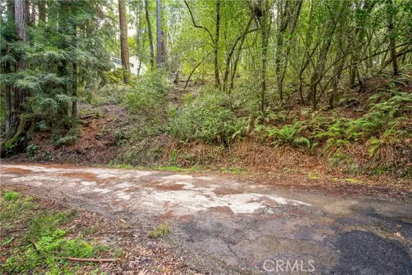 Cazadero, CA 95421,6185 Austin Creek Road