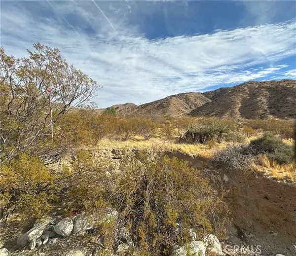 Morongo Valley, CA 92256,12345 29 Palms Highway