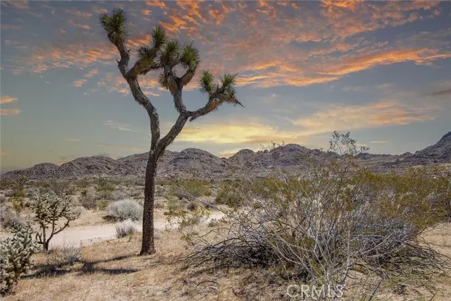 Joshua Tree, CA 92252,4444 Skyline Drive