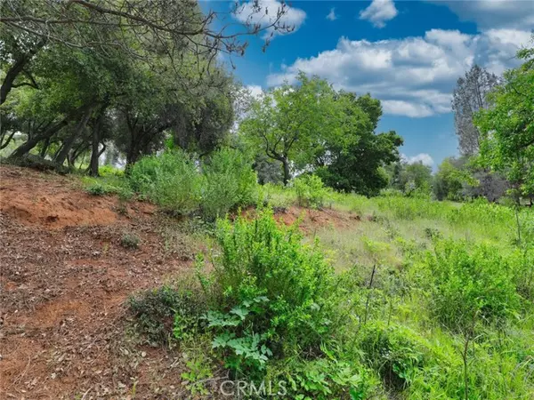 Kelseyville, CA 95451,3218 Skyline Drive