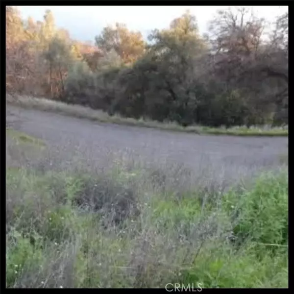 Clearlake Oaks, CA 95423,11860 Lakeview Drive