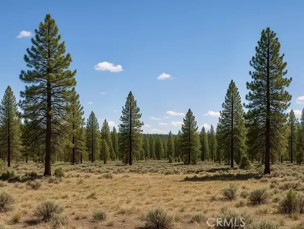 Alturas, CA 96101,0 California Pines Blvd