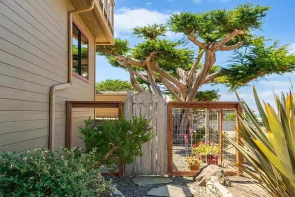 Cambria, CA 93428,2591 Windsor Boulevard