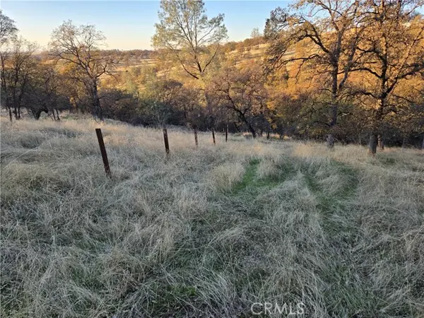 Oroville, CA 95966,0 Avacado Road