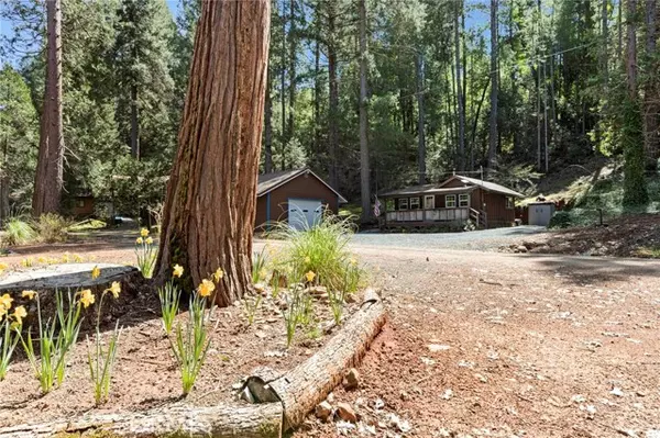 Challenge, CA 95925,17867 Rainbow Lane