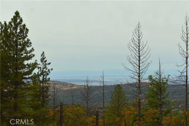 Oroville, CA 95966,233 Renegade Road