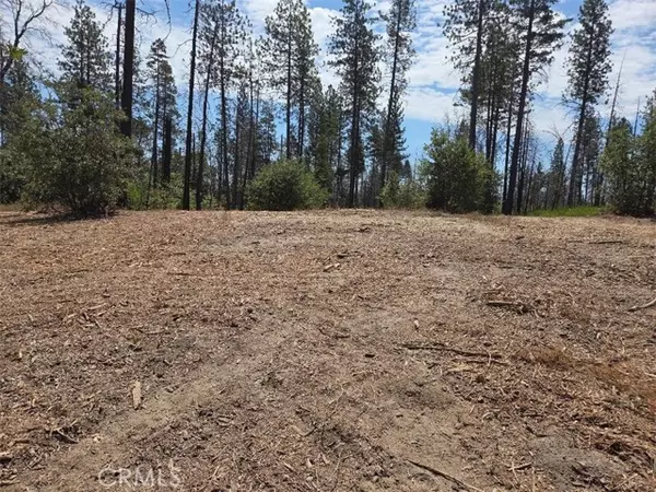 1090 Bald Rock Road, Berry Creek, CA 95916