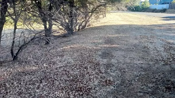 Oroville, CA 95966,494 Kelly Ridge Road