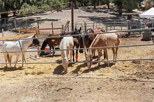 Atascadero, CA 93422,8505 Santa Lucia Road