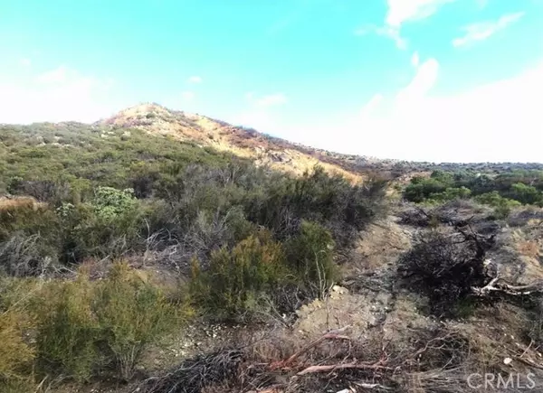 Anza, CA 92539,0 Gully View Drive