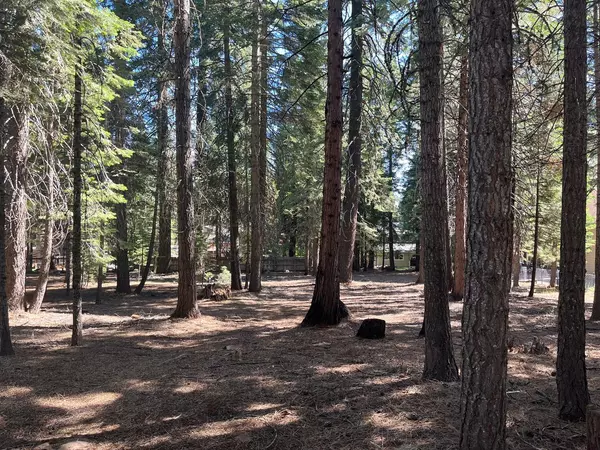 Chester, CA 96020,321 Racoon Trail