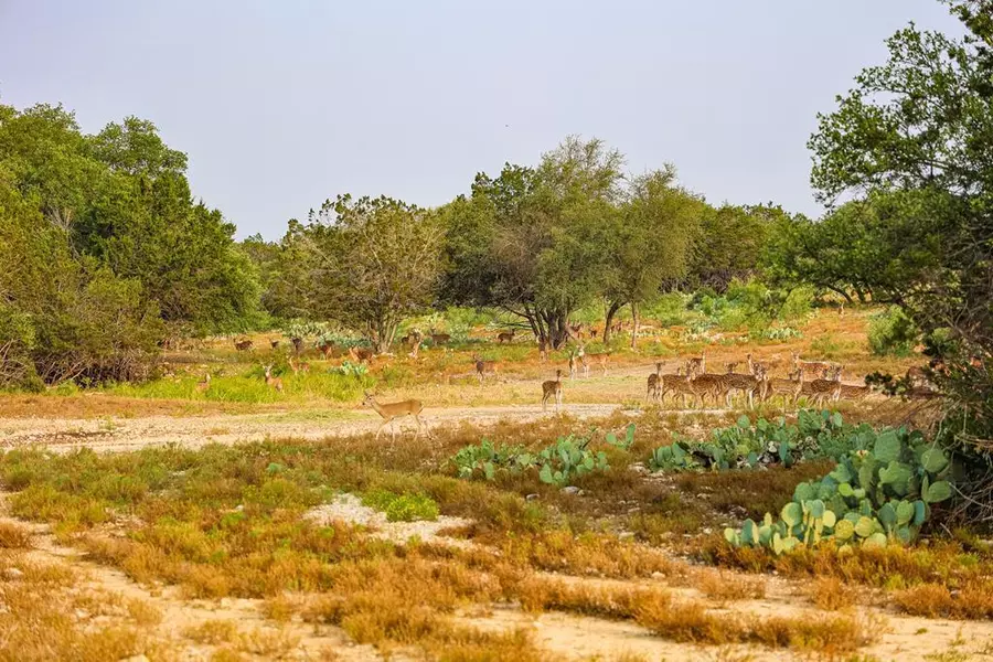 N/A County Rd 102, Ozona, TX 76943