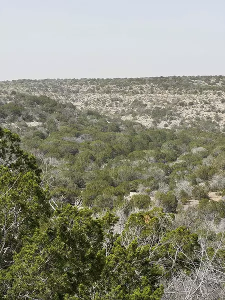 13812 High Lonesome Rd, Del Rio, TX 78840