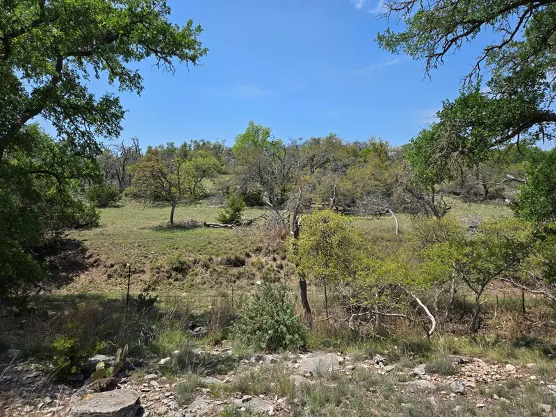 0 Badger Ridge Rd, Fredericksburg, TX 78624