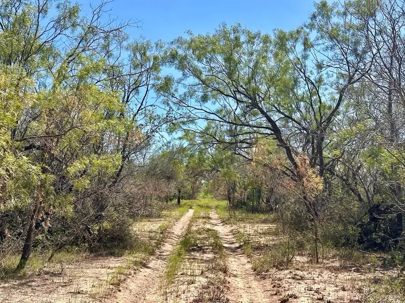 11980 Grape Creek Rd, San Angelo, TX 76901