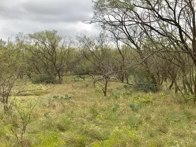 0 Jameson Rd, San Angelo, TX 76901