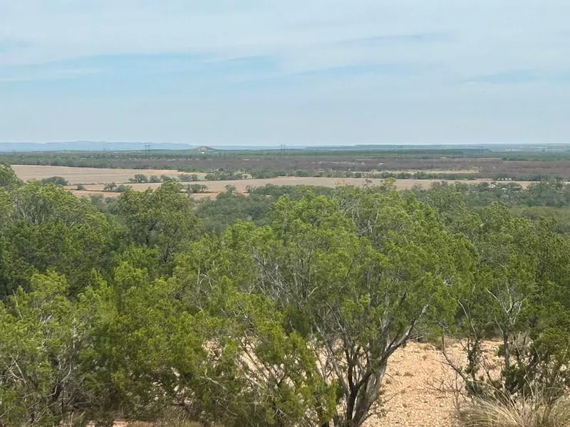 TBD FM 2333, Bronte, TX 76933