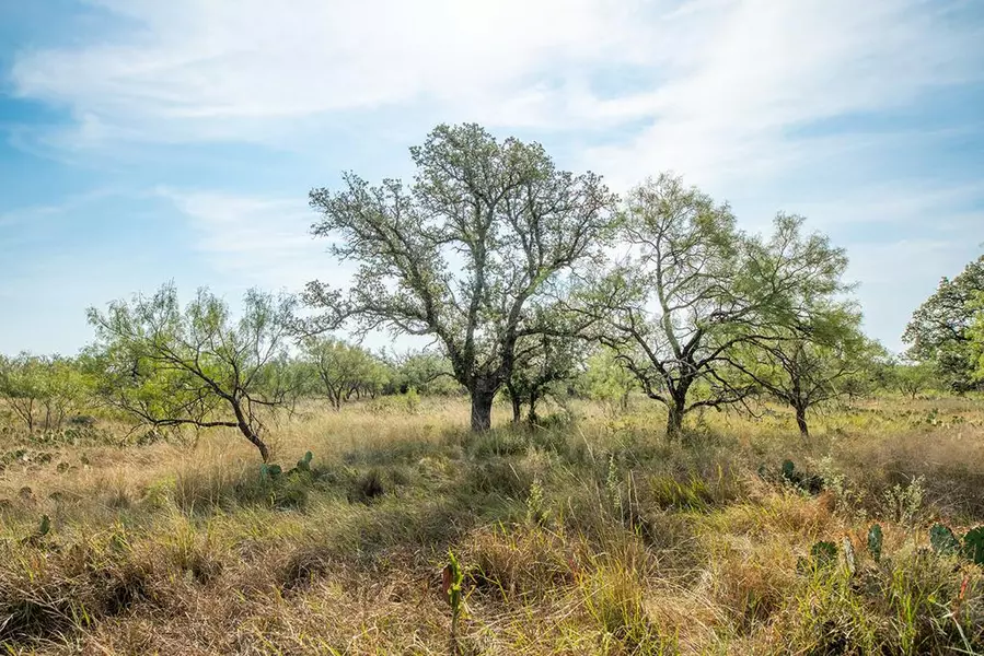 6960 Buck Ridge, Brady, TX 78625