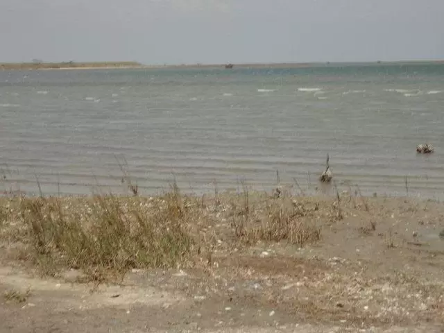 Taft (bayside), TX 78390,846 Egery Island Rd