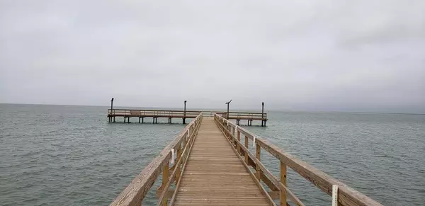Rockport(holiday Beach), TX 78382,293 Woods