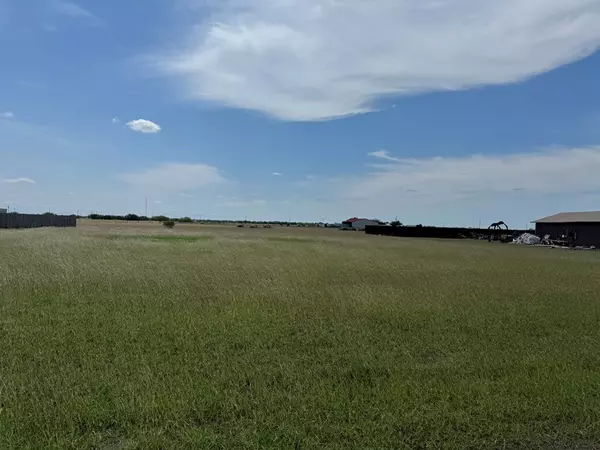 Orange Grove, TX 78003,000 Anaqua