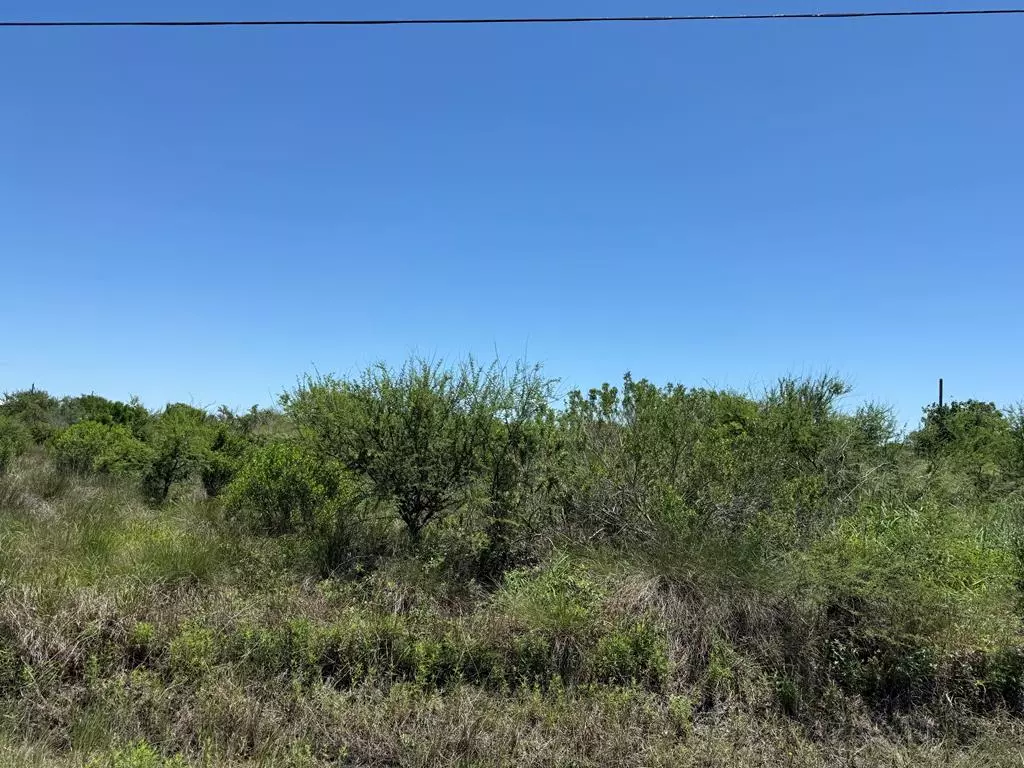 Rockport, TX 78382,642 Rattlesnake Point Road