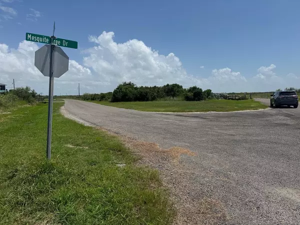 Rockport(holiday Beach), TX 78382,202 & 203 South Mesquite Tree Dr