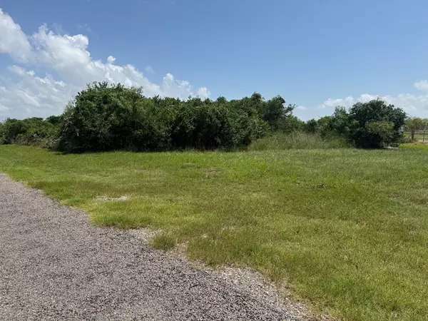 Rockport(holiday Beach), TX 78382,202 & 203 South Mesquite Tree Dr