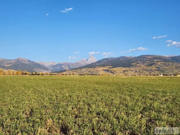 Driggs, ID 83422,1753 Foxtail Drive