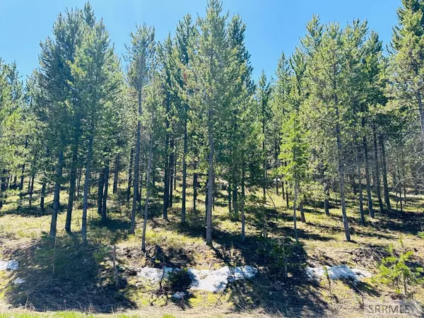 Island Park, ID 83429,0000 Sawtelle Peak Road