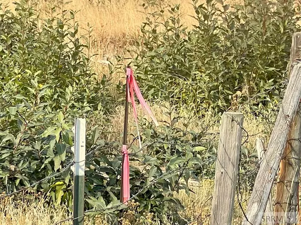 Rigby, ID 83442,Parcel 1 4100 E