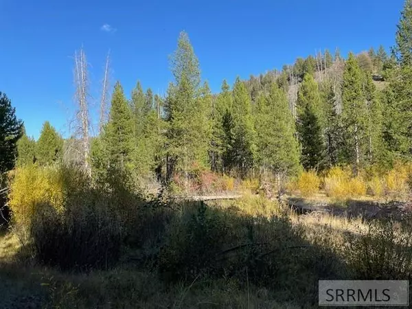 Salmon, ID 83467,TBD Napias Creek Road