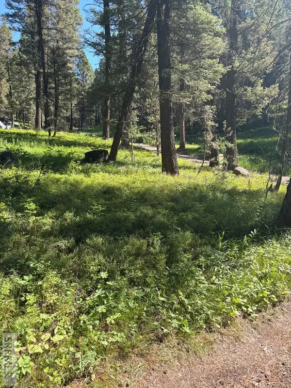 Island Park, ID 83429,4121 Spruce Circle