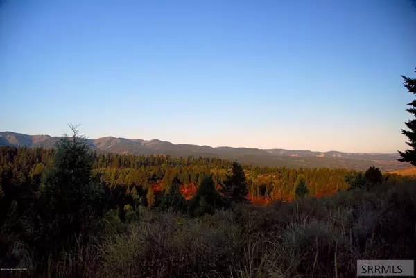 Irwin, ID 83428,L54B4 Cutthroat Run