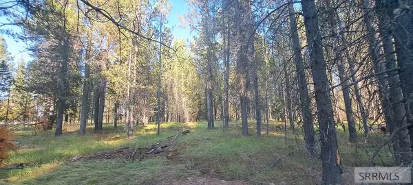 Island Park, ID 83429,3949 Cowan Road