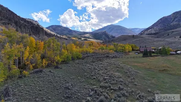 Challis, ID 83226,4585 Garden Creek Road