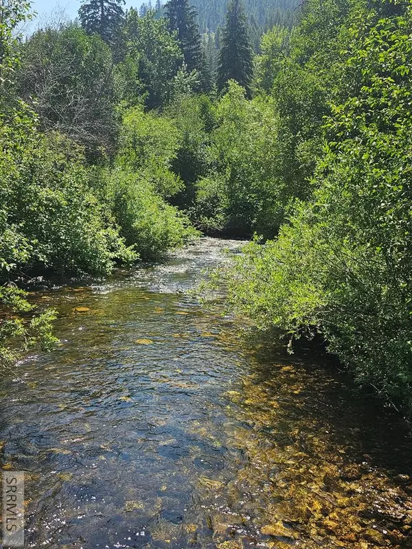 Gibbonsville, ID 83463,13 Hart Lane