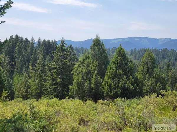 Irwin, ID 83428,L61 B4 Cutthroat Run