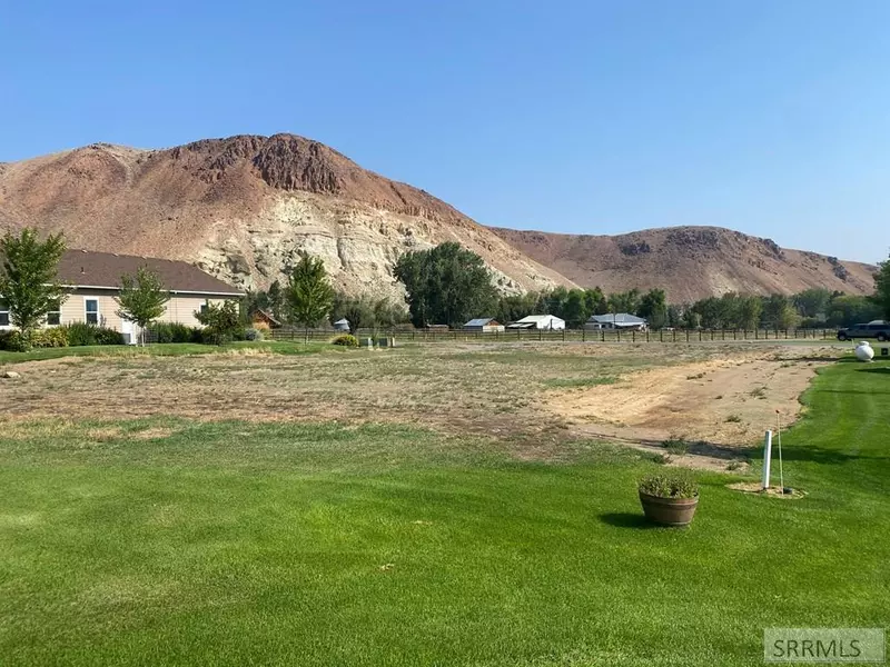 TBD Emily Lane, Challis, ID 83226