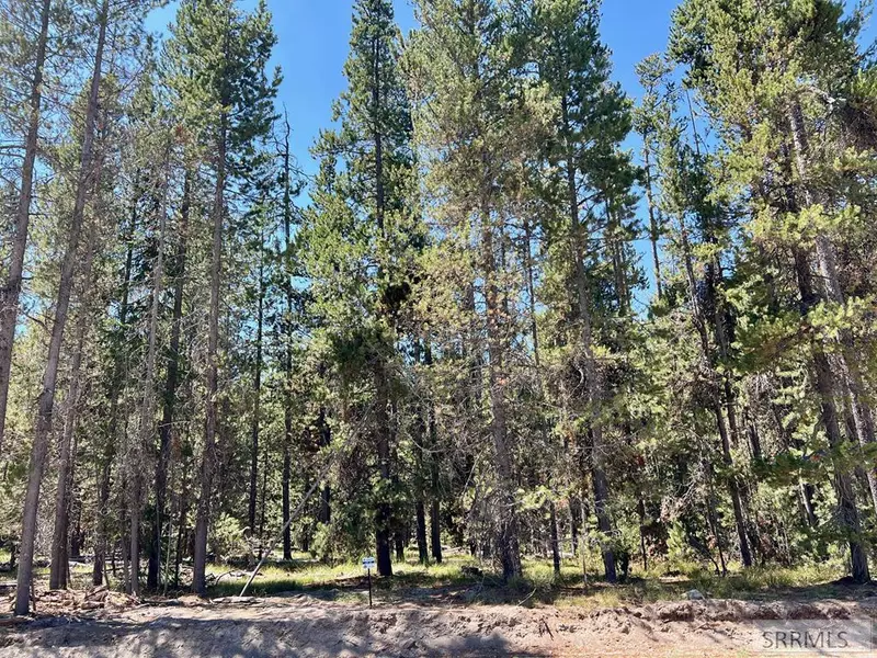 4376 Sasquatch Ave, Island Park, ID 83429