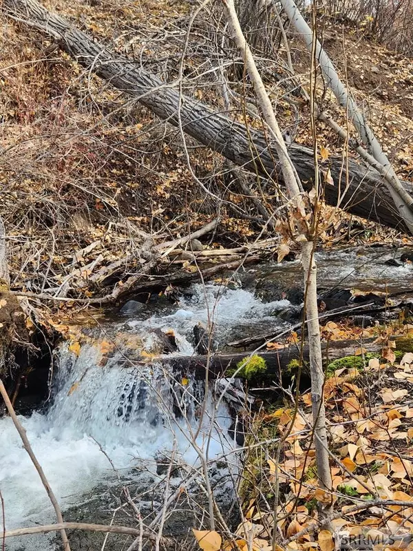 Salmon, ID 83467,TBD Burden Road