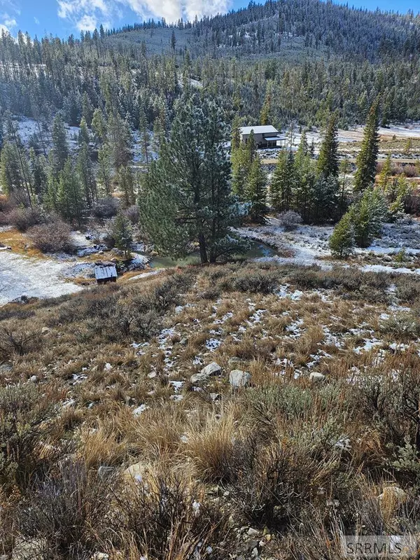 Shoup, ID 83469,NKN Panther Creek Road