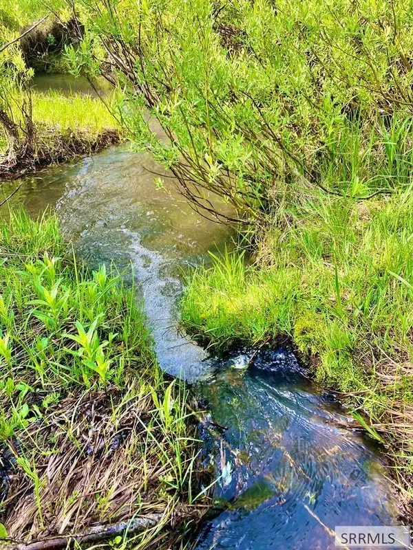 Ashton, ID 83420,1656 Shadow Loop South