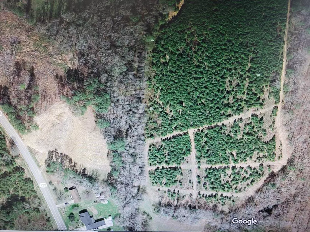Roanoke Rapids, NC 27870,0 Highway 125